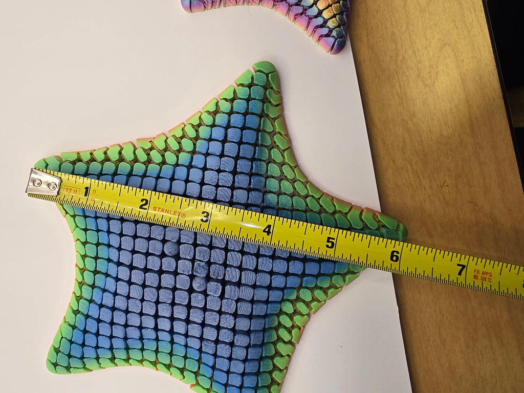 Colorful 3D Printed Star Fidget Toy - Very Flexible and Enjoyable