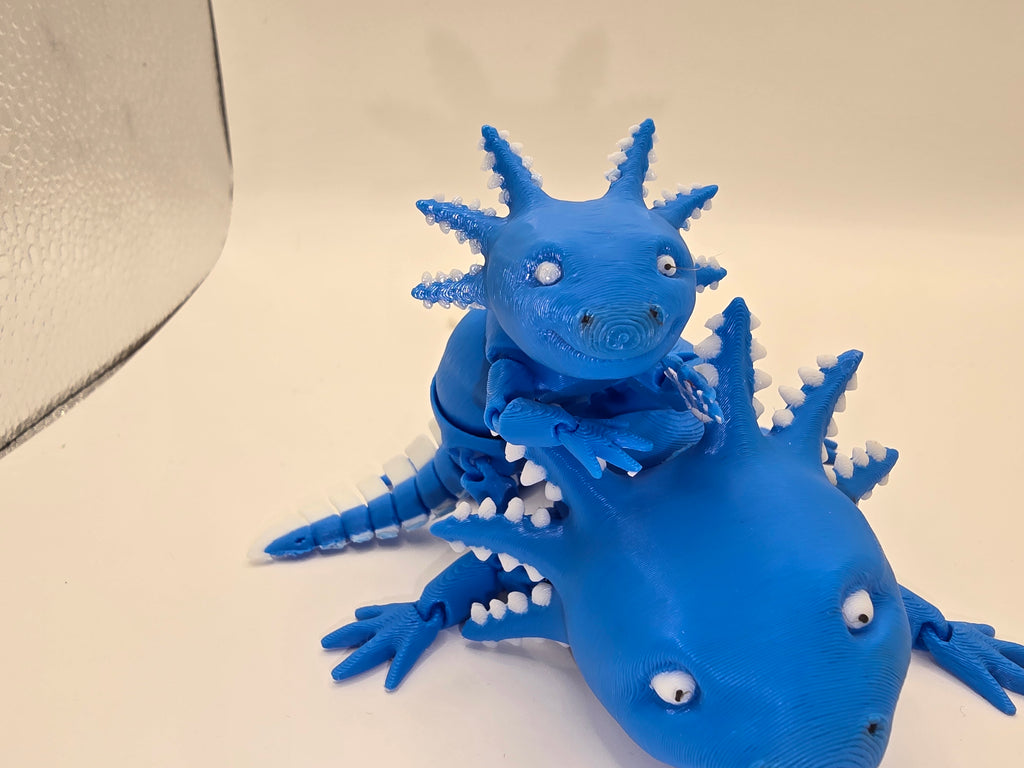 axolotl dragon flexable fidget 3d printed
