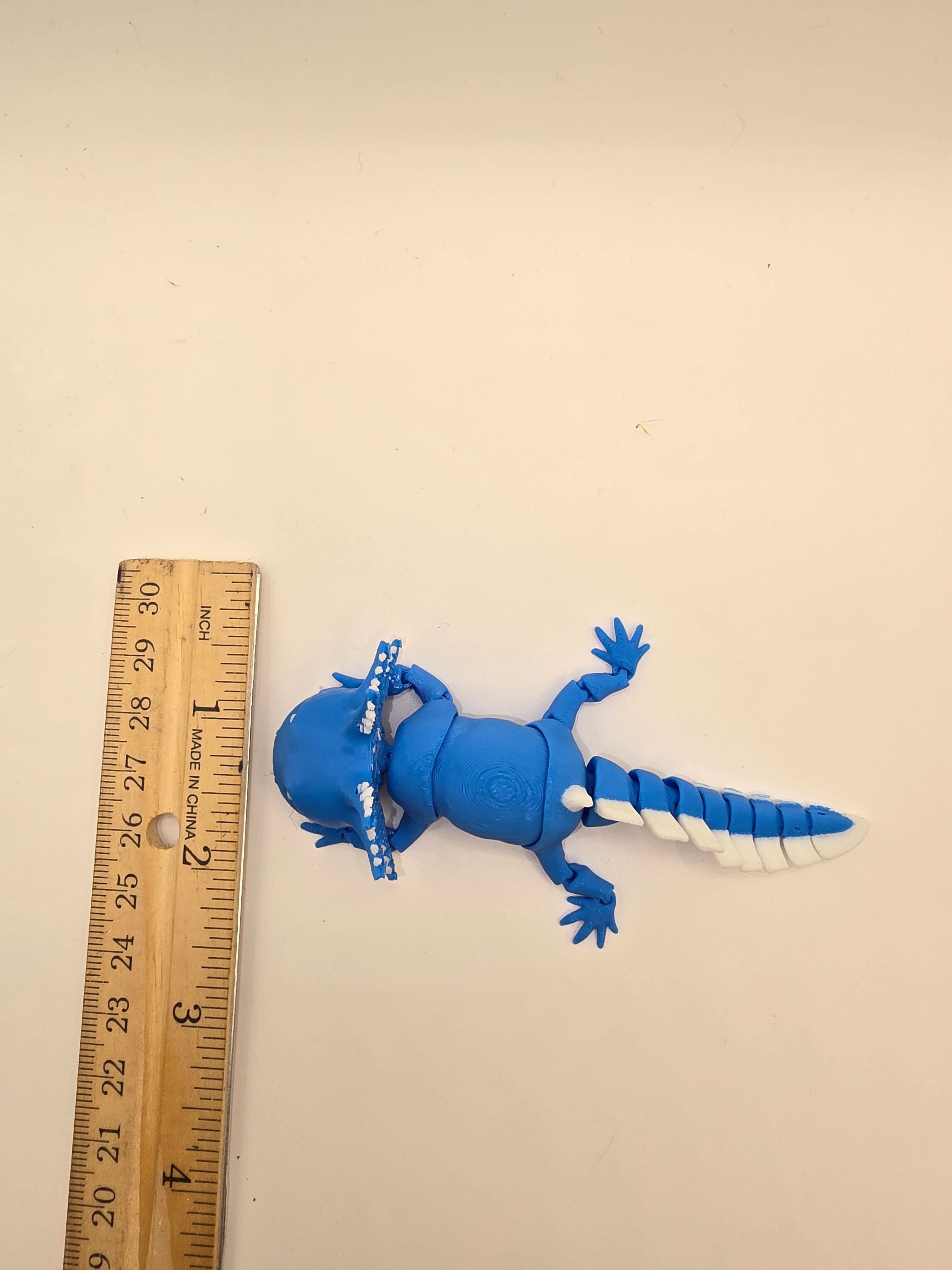 axolotl dragon flexable fidget 3d printed
