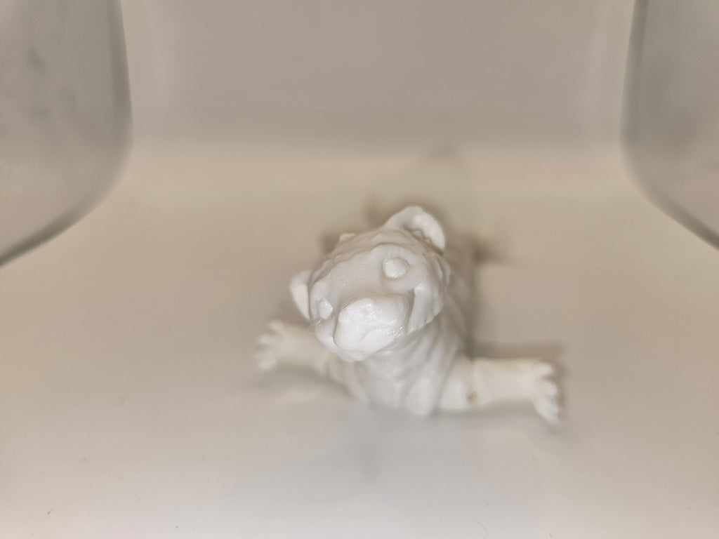 ferrrit flexable 3d printed fidget