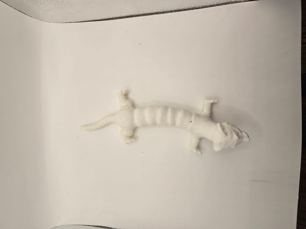 ferrrit flexable 3d printed fidget