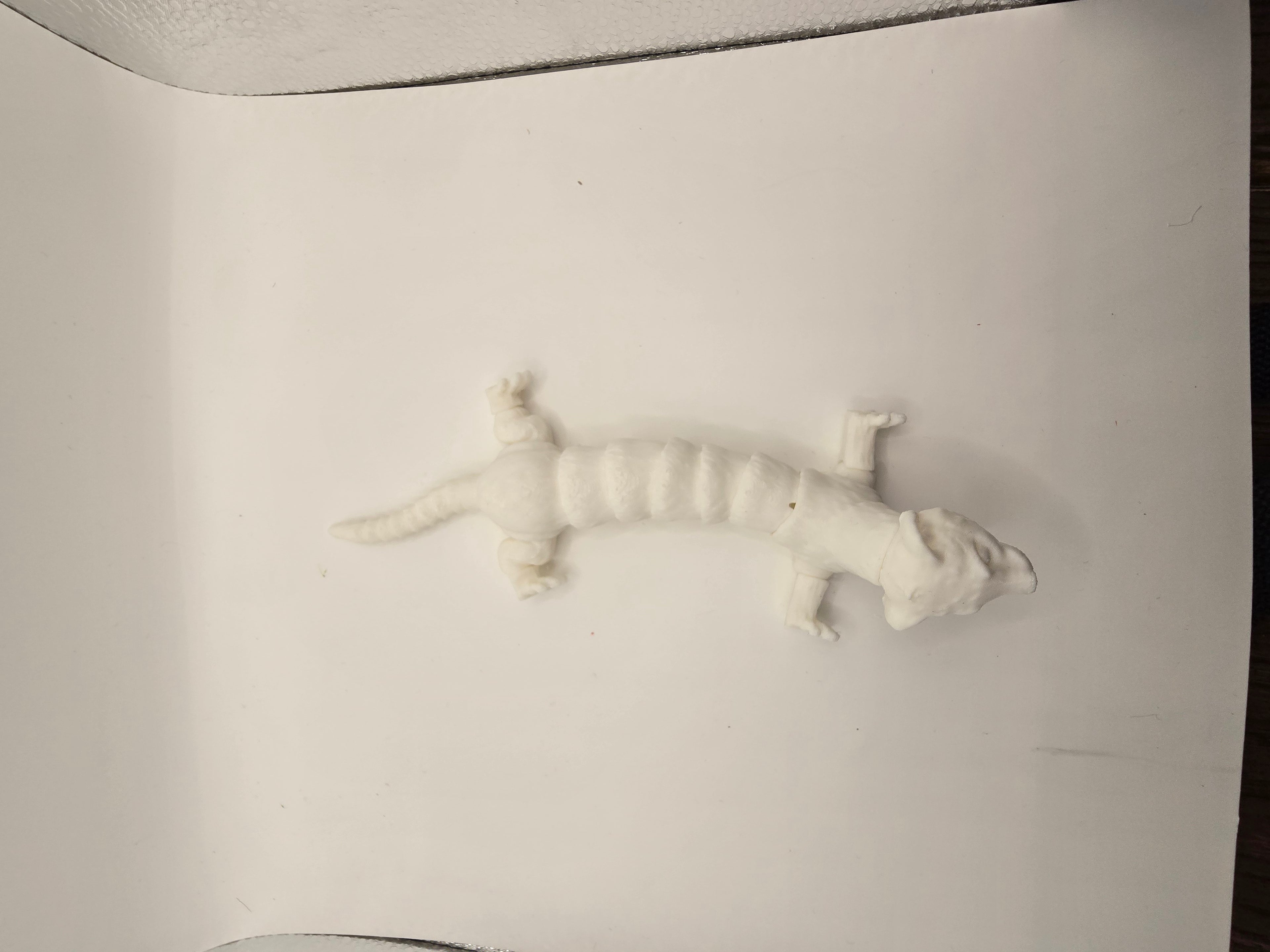 ferrrit flexable 3d printed fidget