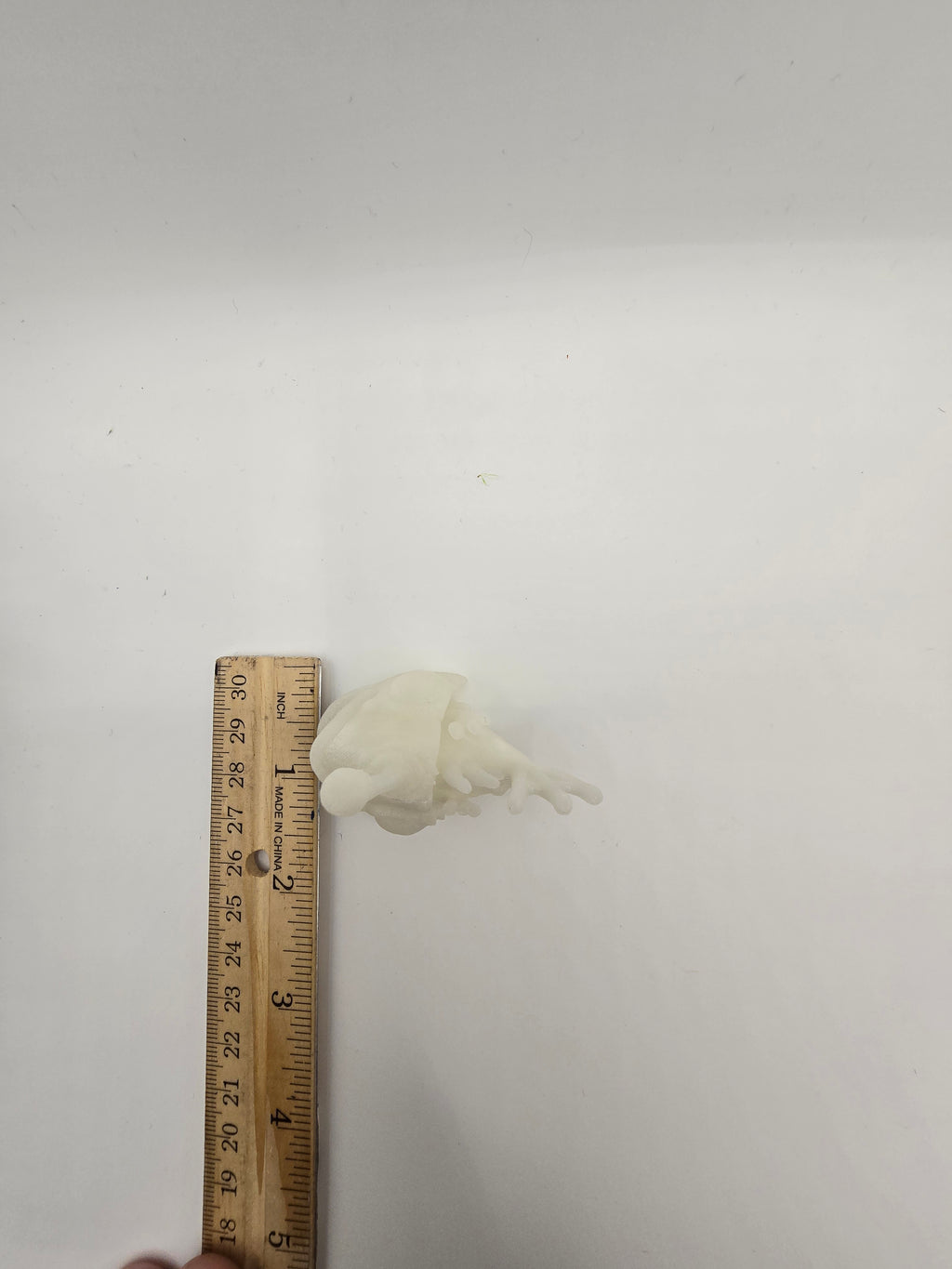angler fish glow  3d printed fidget