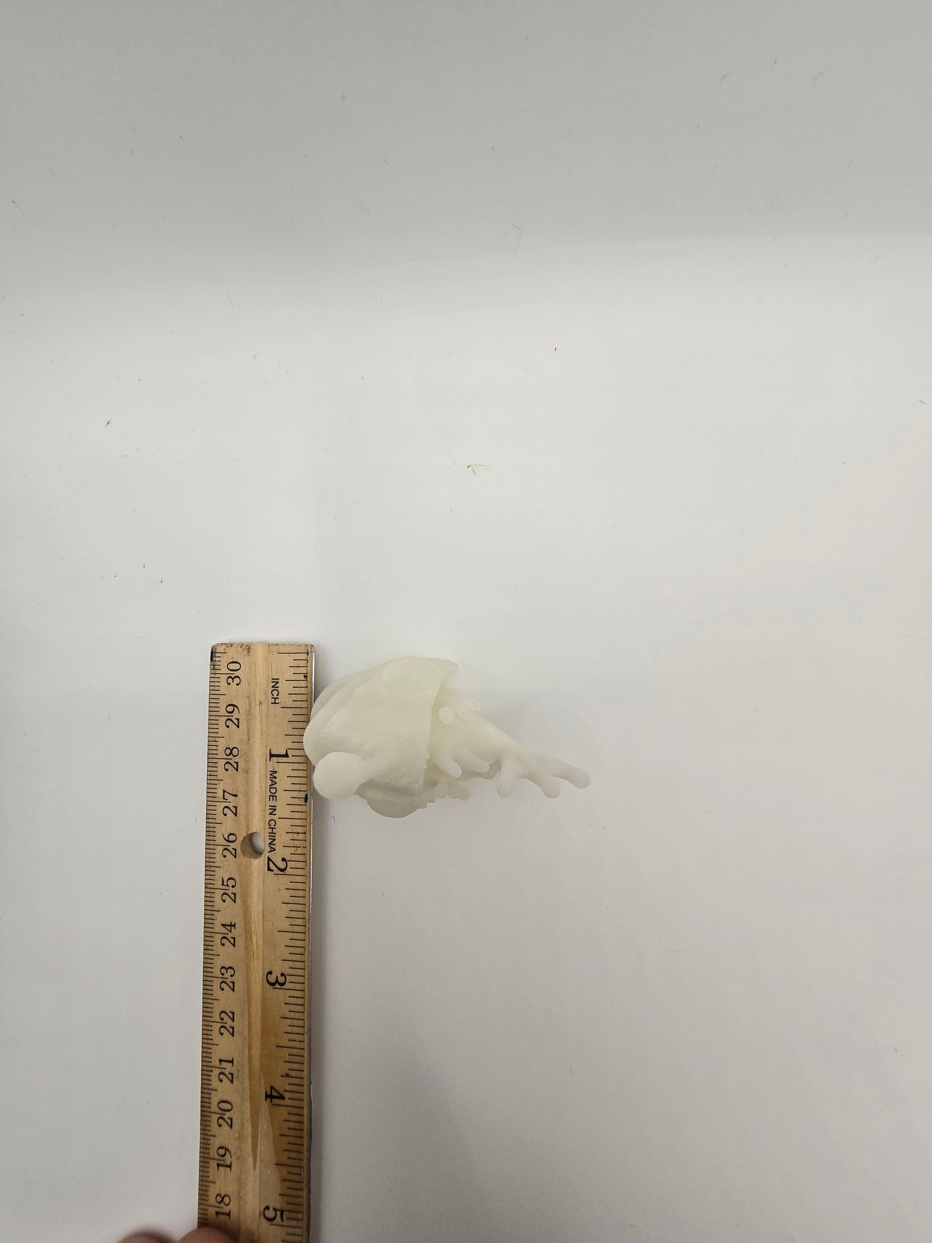 angler fish glow  3d printed fidget