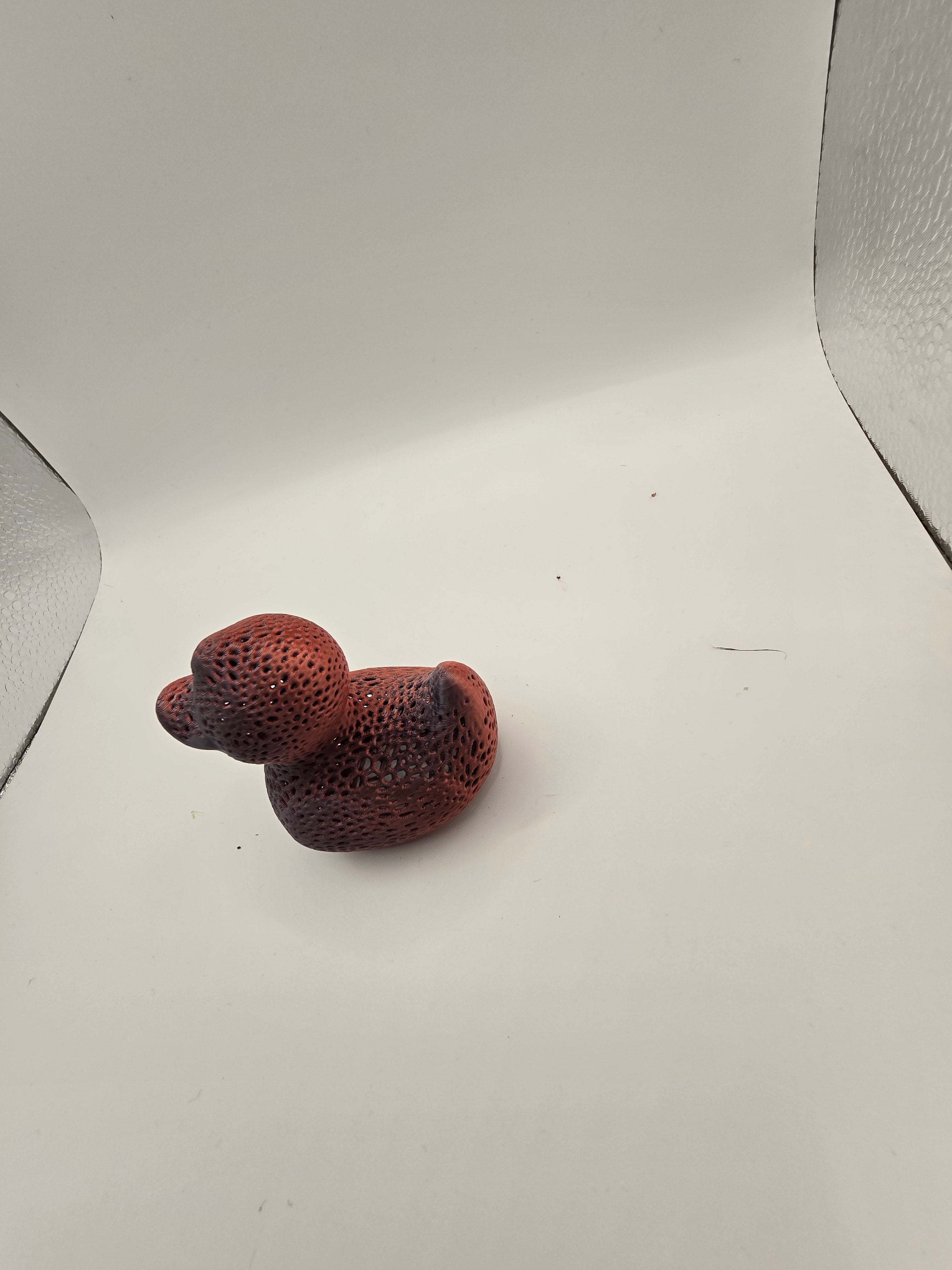 veroni duck 3d printed fidget