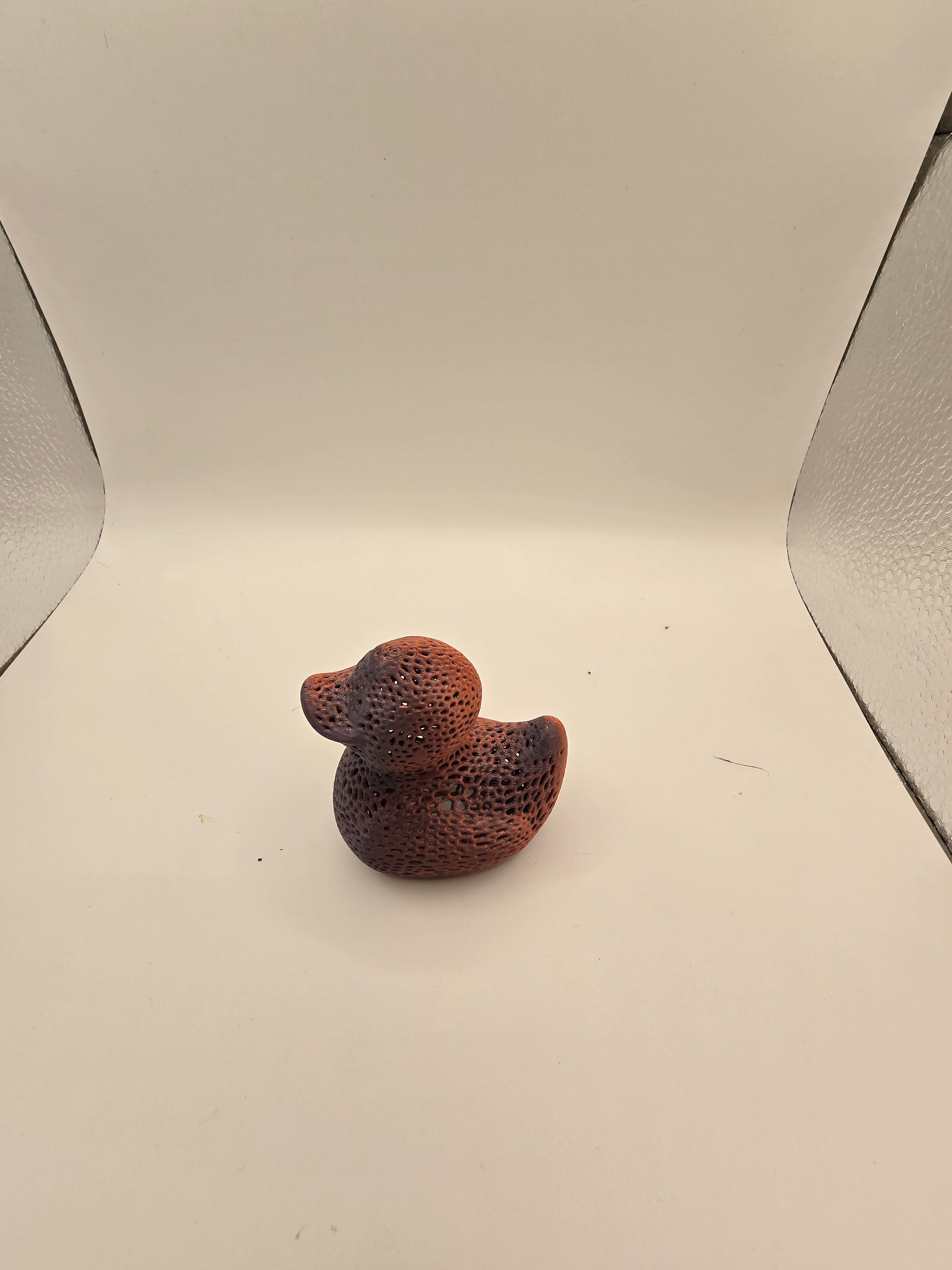 veroni duck 3d printed fidget