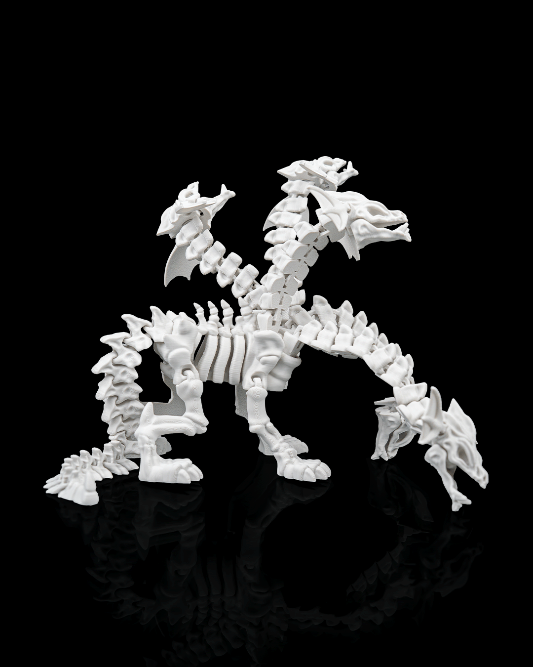 Hydra Skeleton Articulated
