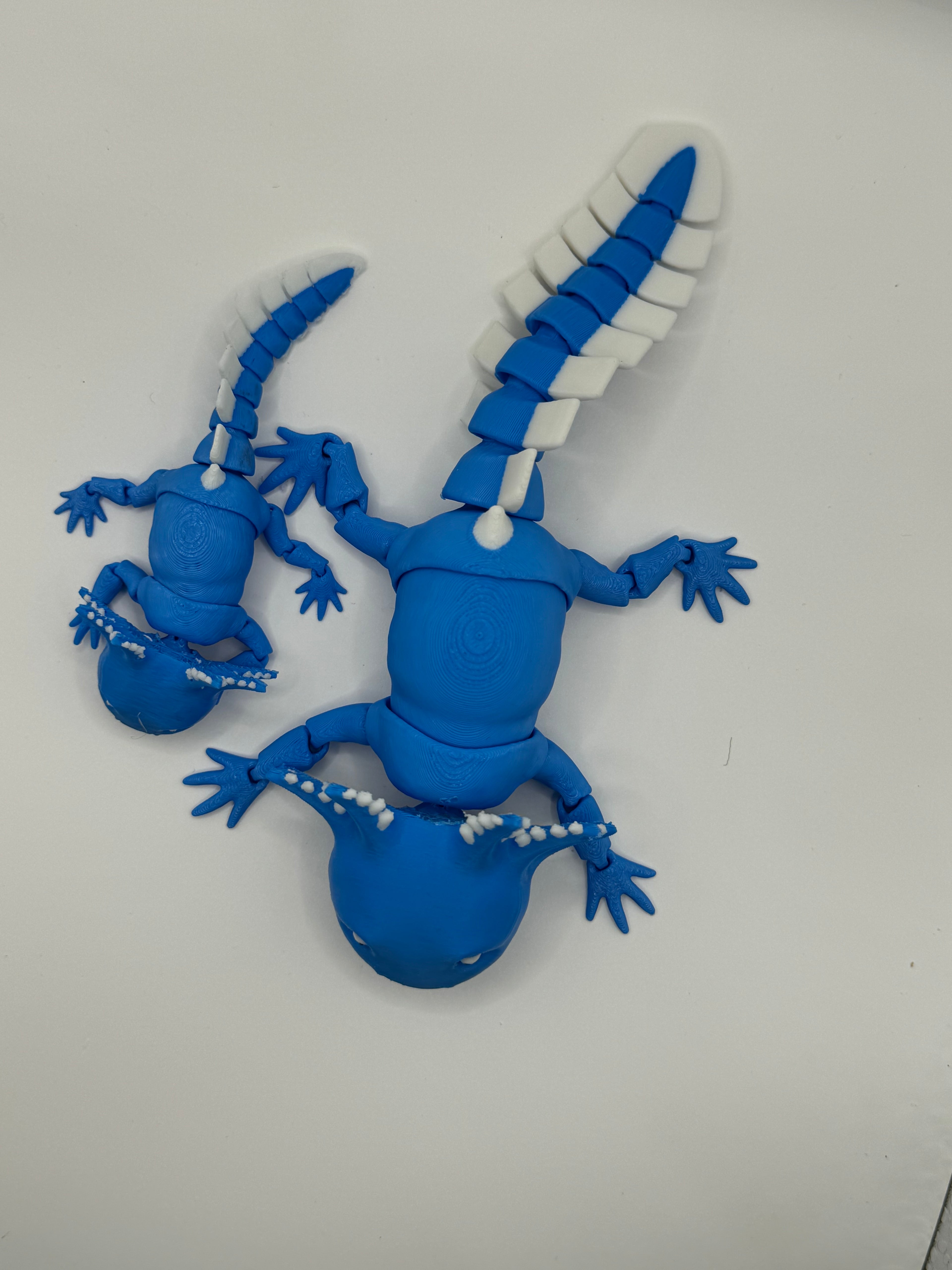 axolotl dragon flexable fidget 3d printed