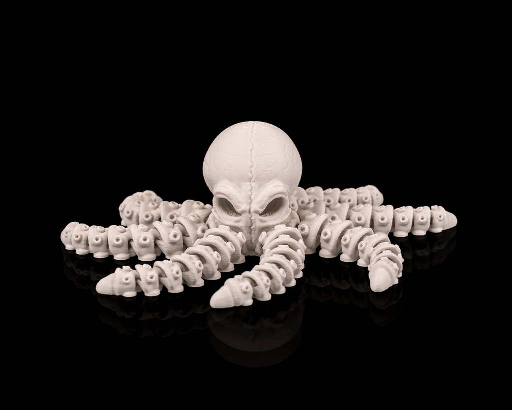 Octopus Skeleton