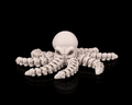 Octopus Skeleton