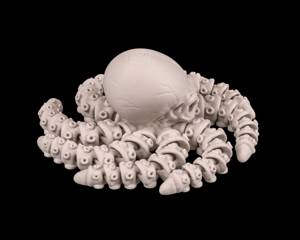 Octopus Skeleton