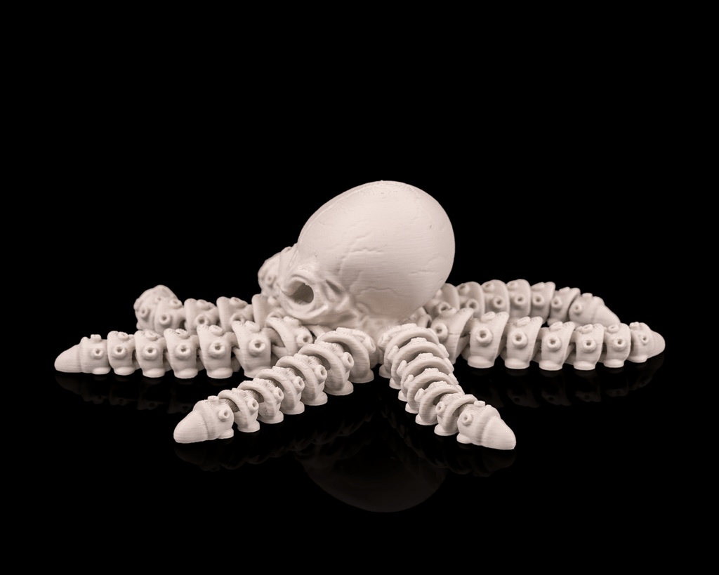 Octopus Skeleton