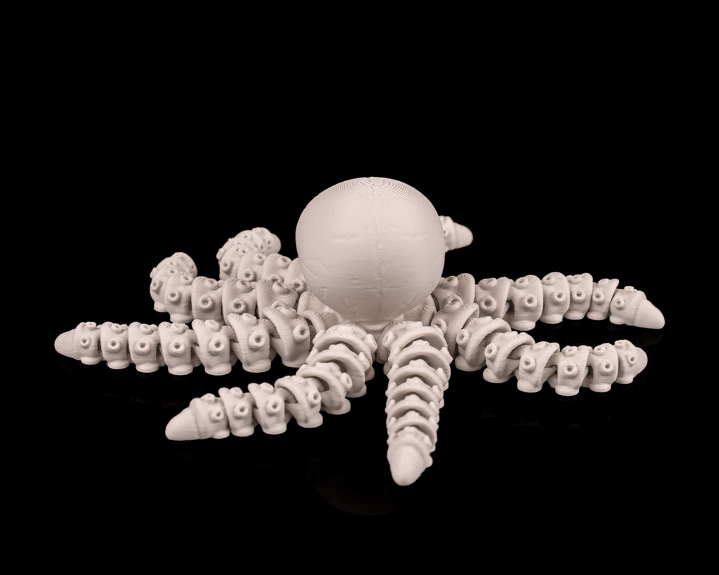 Octopus Skeleton