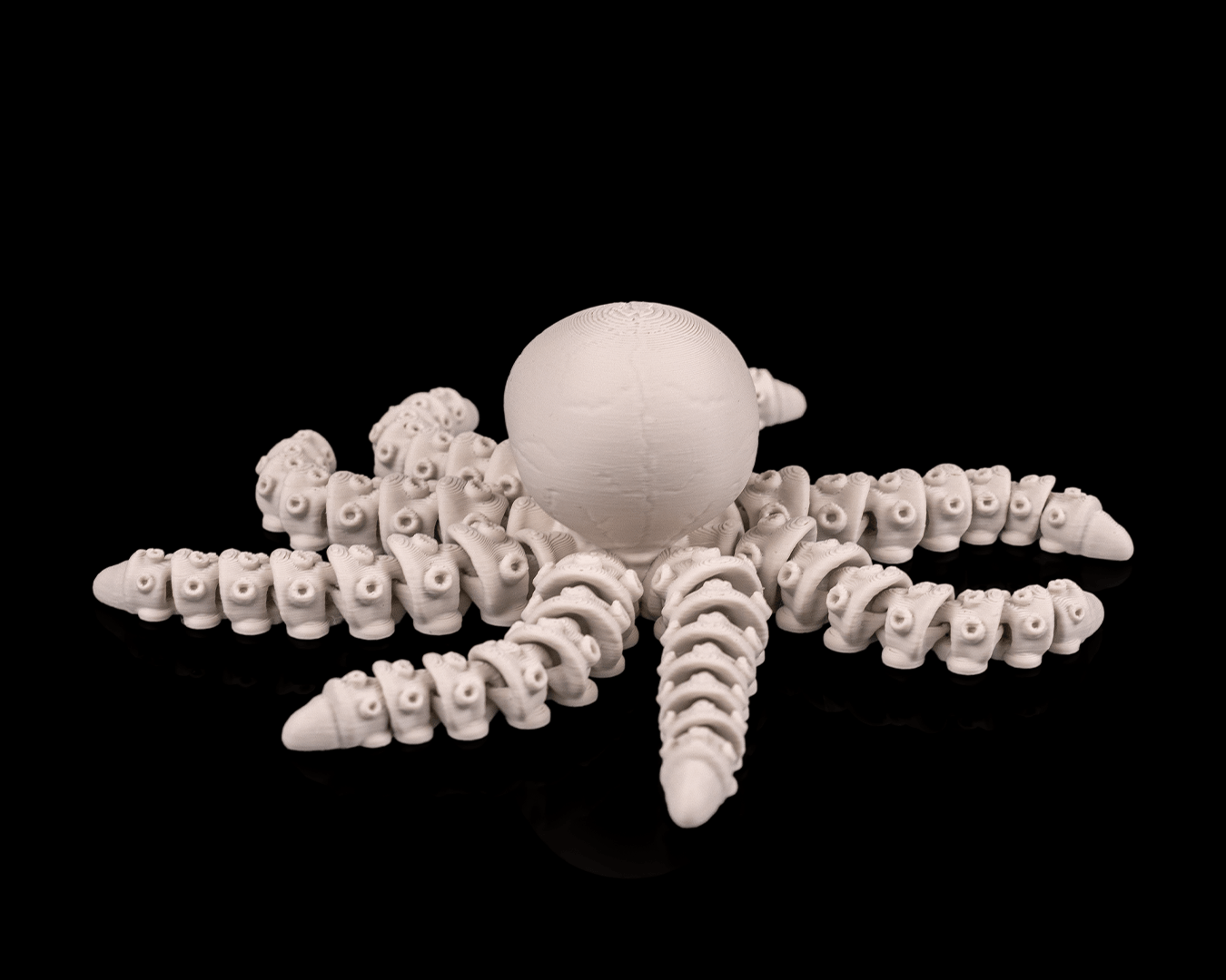 Octopus Skeleton