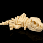 Skeleton T-Rex