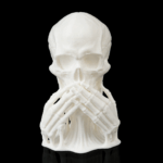 Skulls of Wisdom