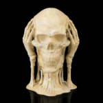 Skulls of Wisdom
