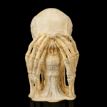 Skulls of Wisdom