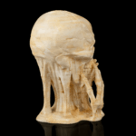Skulls of Wisdom