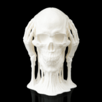 Skulls of Wisdom