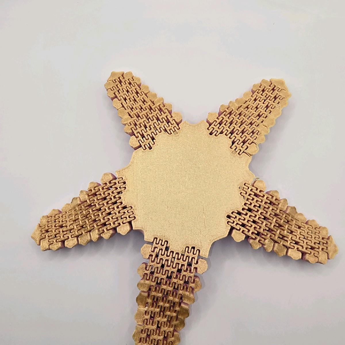 3D Printed Starfish - Perfect for Home and Office Decor