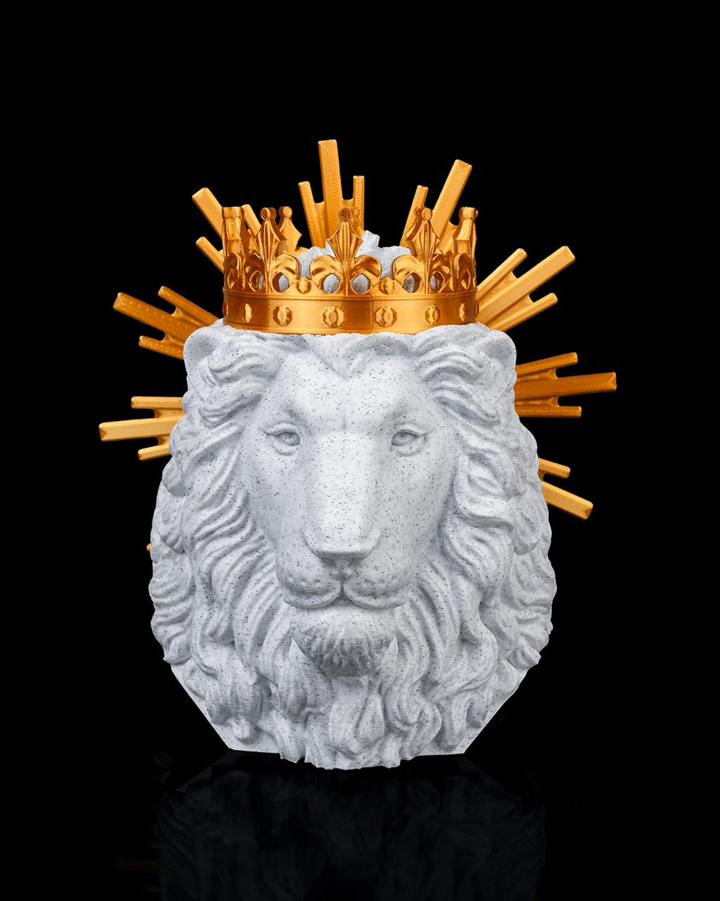 LION OF JUDAH