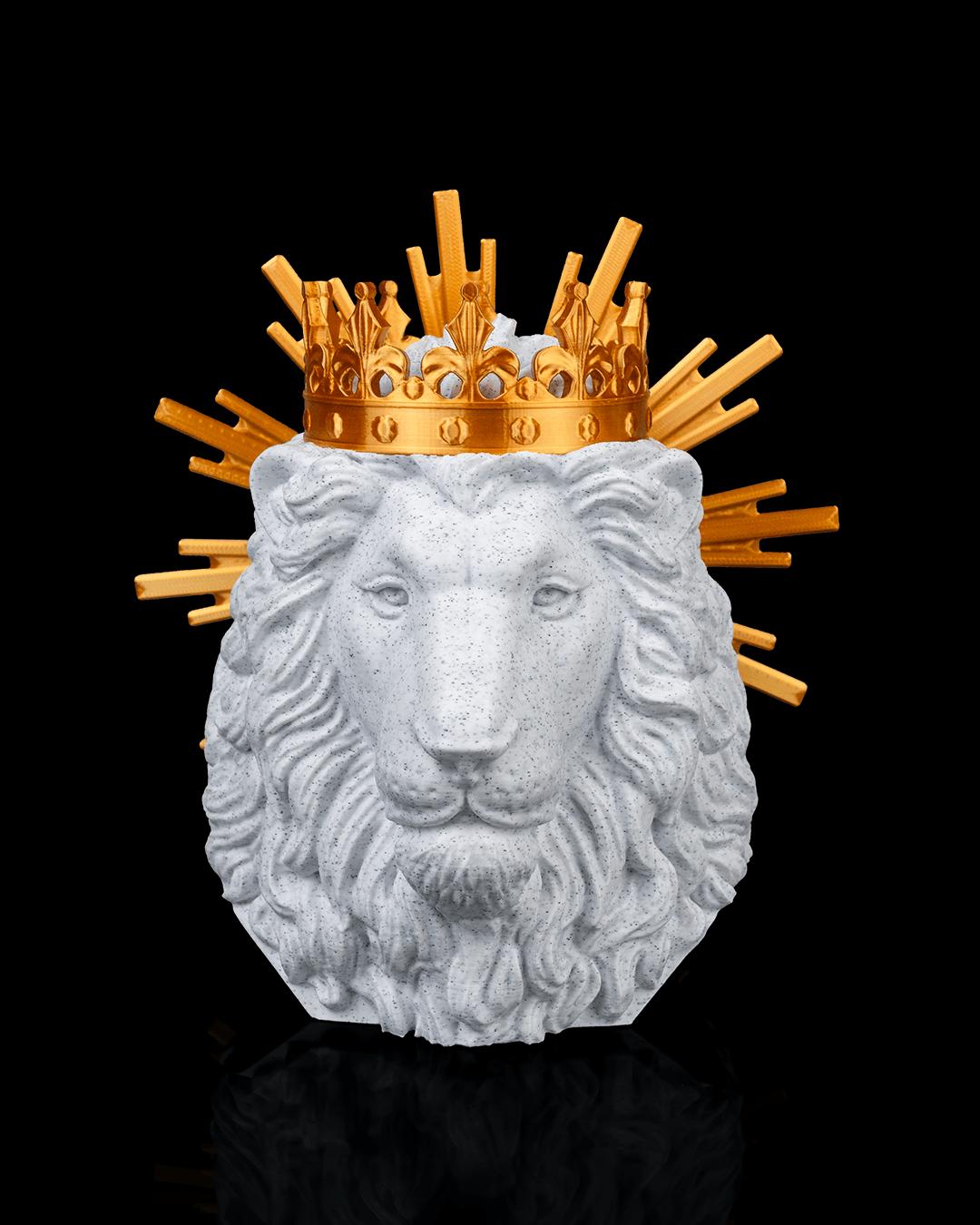 LION OF JUDAH