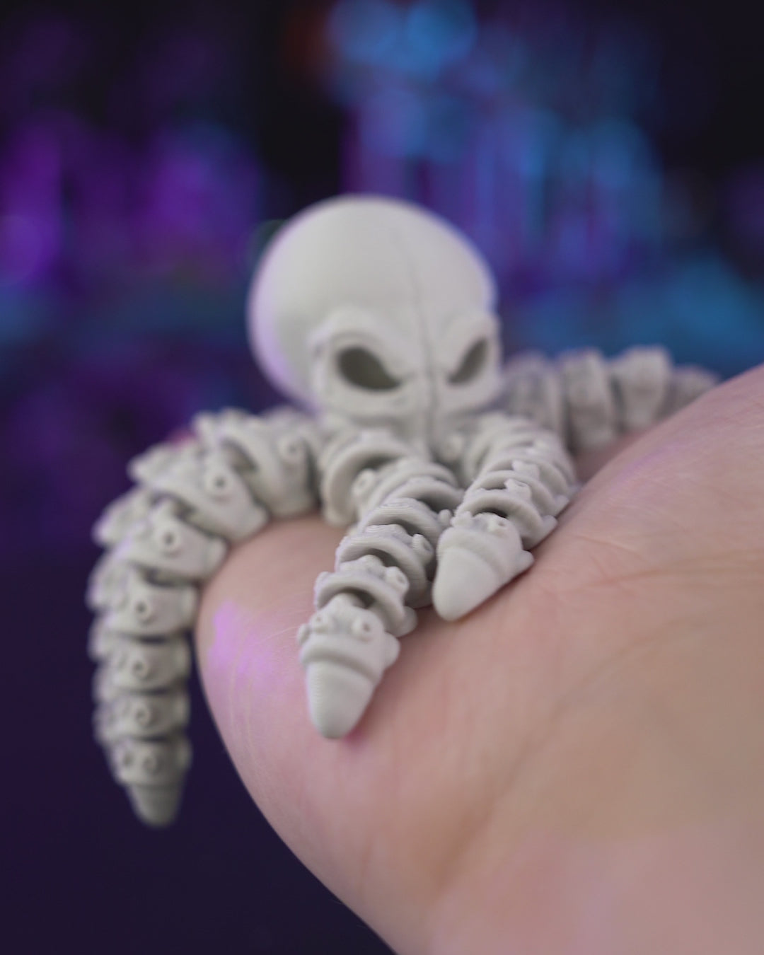 Octopus Skeleton